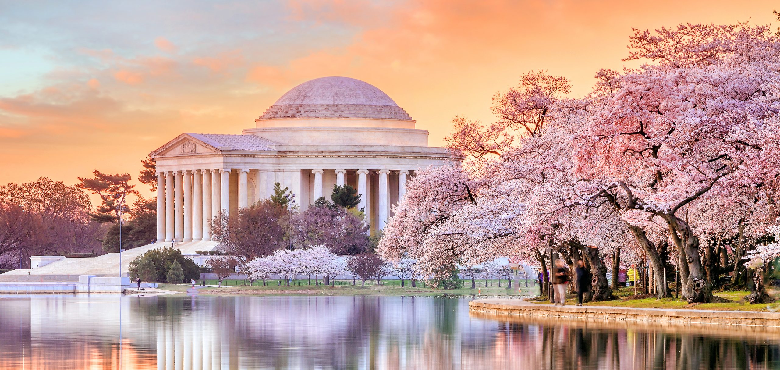 During National Cherry Blossom Festival Ronald Reagan Washington