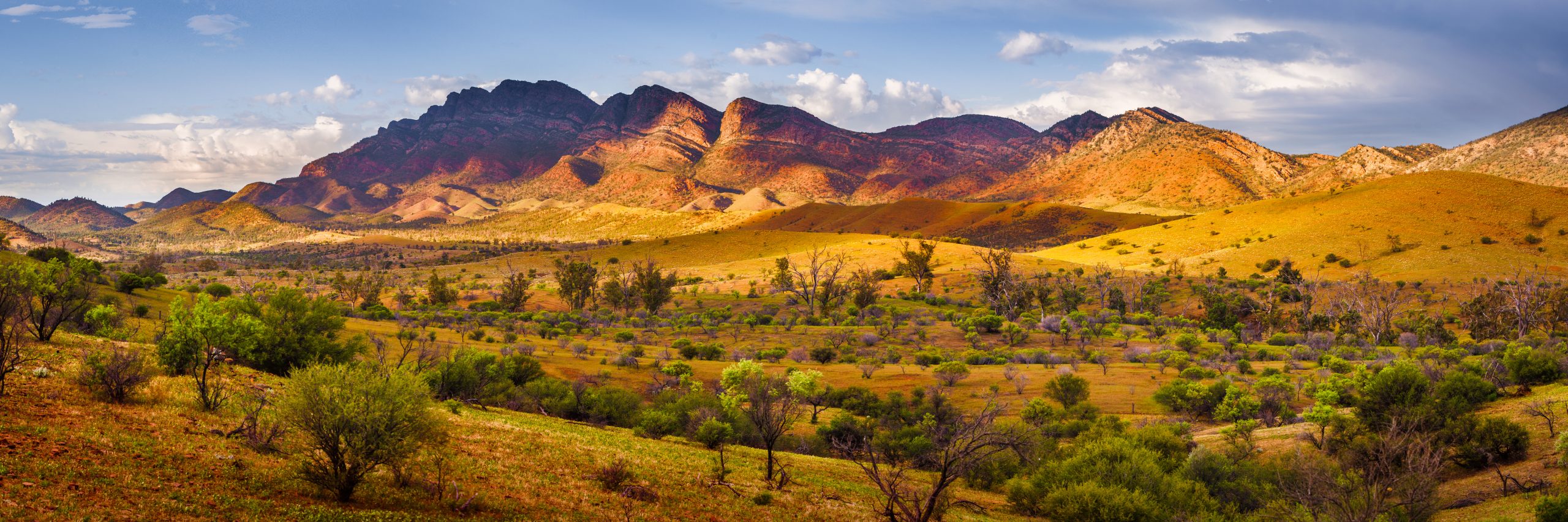 PANORAMA Nature-Culture